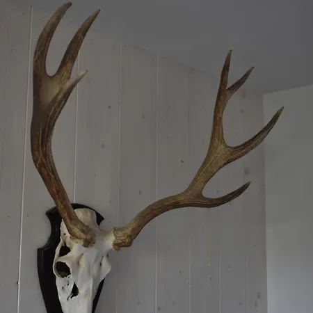 Apartament Het Koetshuis Stolwijk