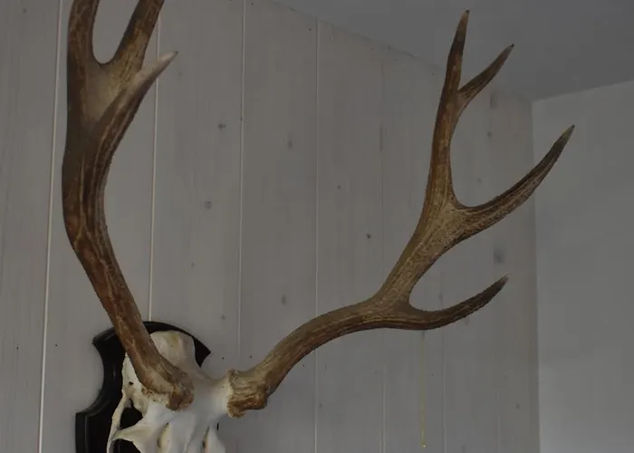 Апартаменты Het Koetshuis Stolwijk